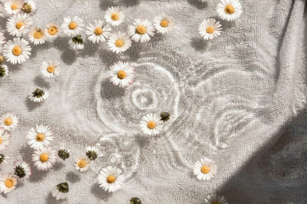 Daisy's floating in clear water