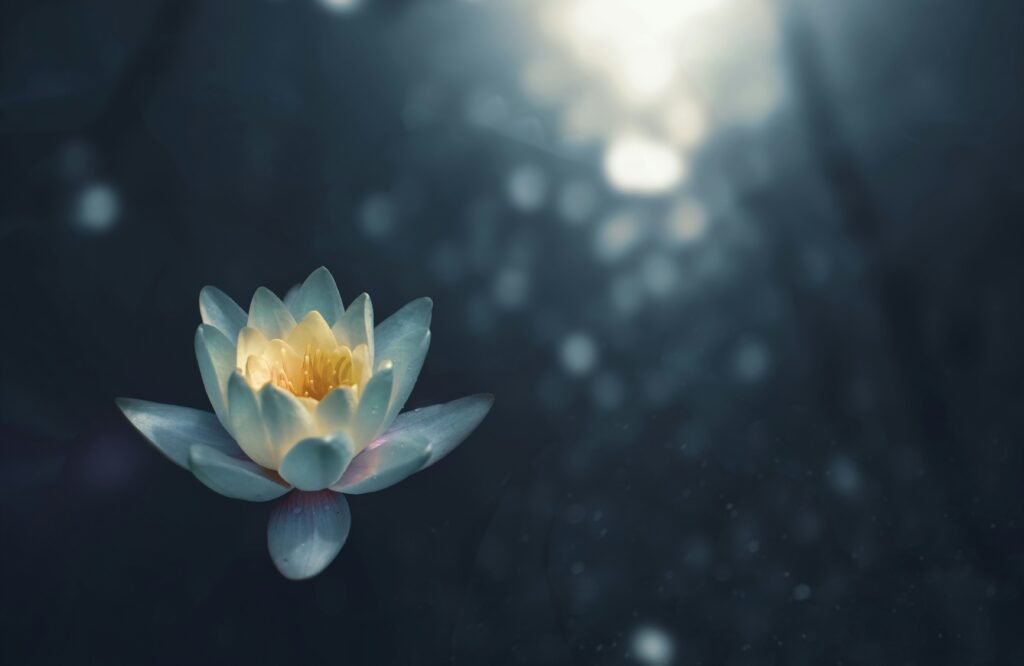 Photo of an unfocused flower